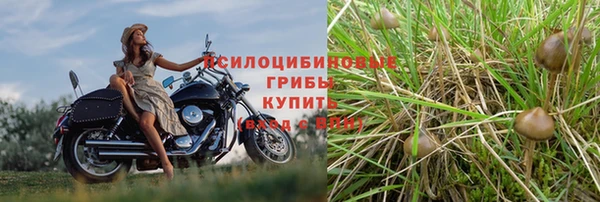 твердый Арсеньев
